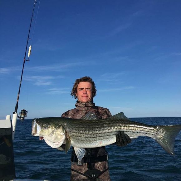 Meet your Posher, Eric - Picture 1 of 1